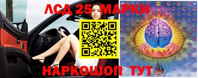 гидра Моздок