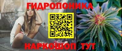 гидра Моздок