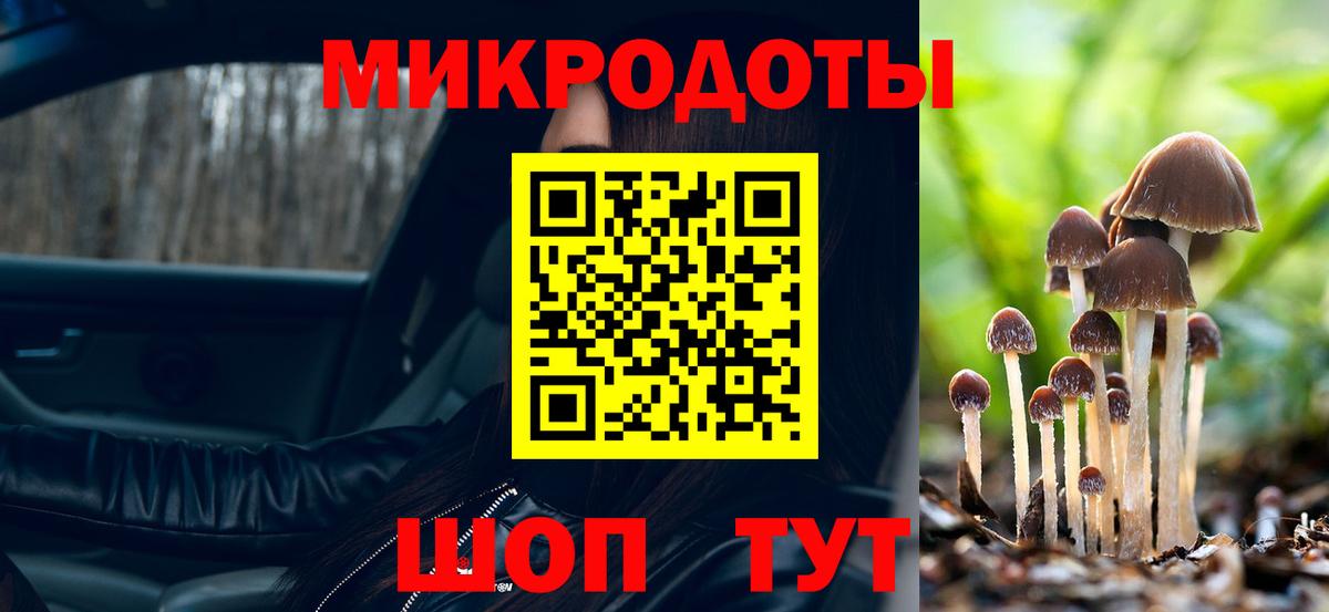 Галлюциногенные грибы мицелий Махачкала