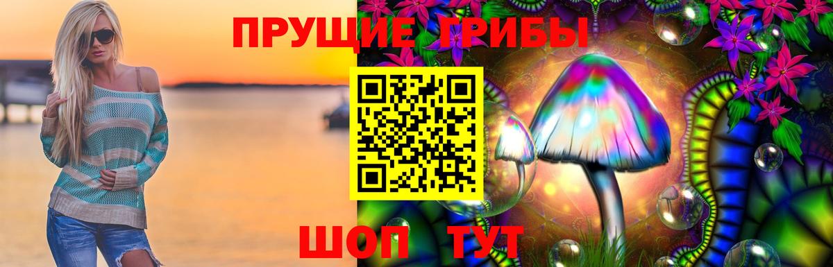 Псилоцибиновые грибы мицелий  Вход с VPN  Махачкала 