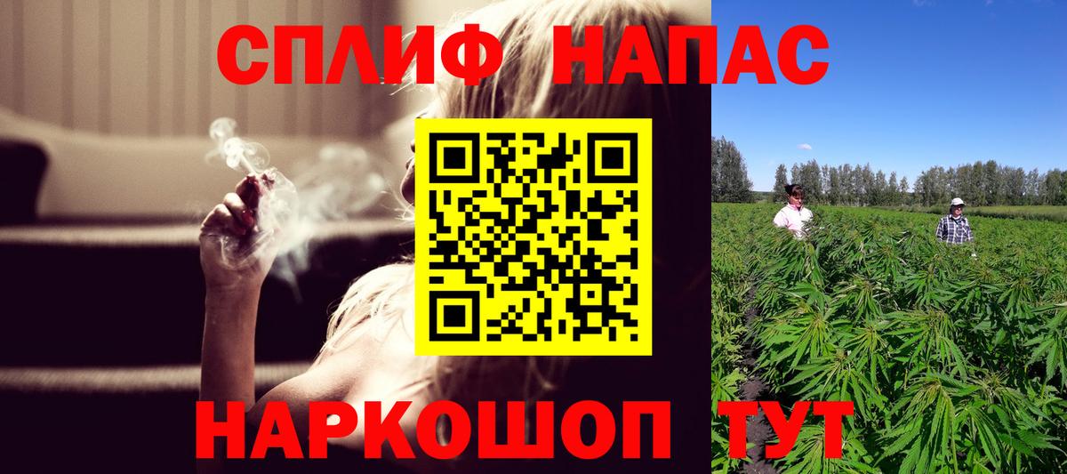 Бошки марихуана индика  Марихуана план  Махачкала  Марихуана VHQ  Вход с VPN 